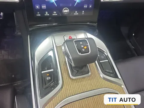 2022 HongQi E-HS9 13