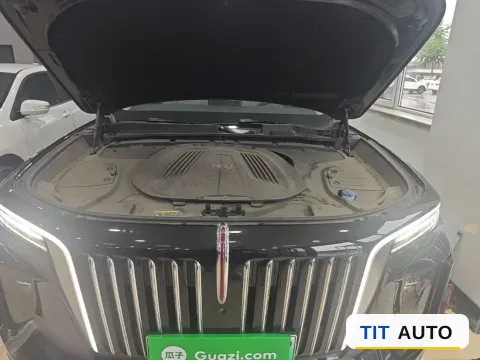 2022 HongQi E-HS9 19