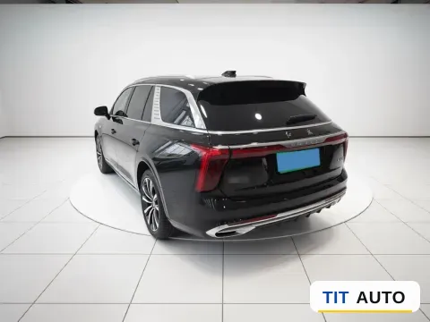 2022 HongQi E-HS9 4
