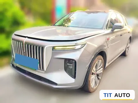 2021 HongQi E-HS9
