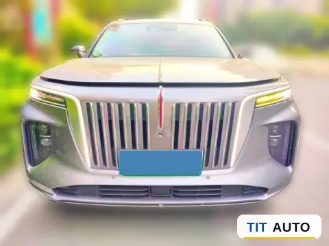 2021 HongQi E-HS9 2