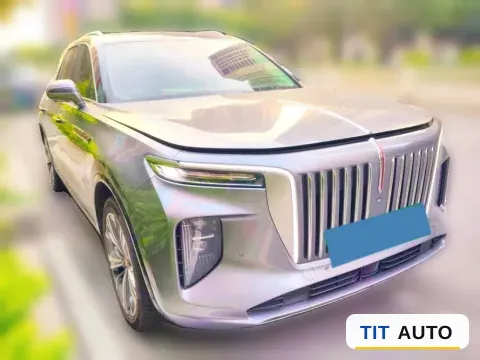 2021 HongQi E-HS9 3