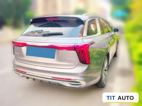 2021 HongQi E-HS9 6