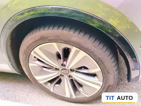 2021 HongQi E-HS9 8