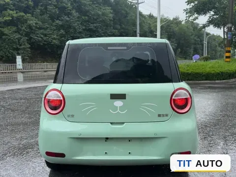 2022 Levdeo Mango 5