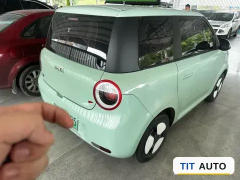 2022 Levdeo Mango 5