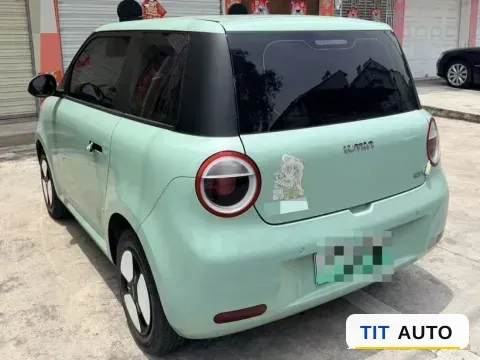 2022 Levdeo Mango 4