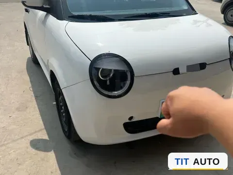2022 Levdeo Mango 2