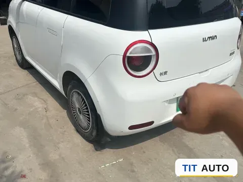2022 Levdeo Mango 4