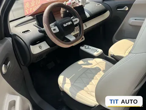 2022 Levdeo Mango 2