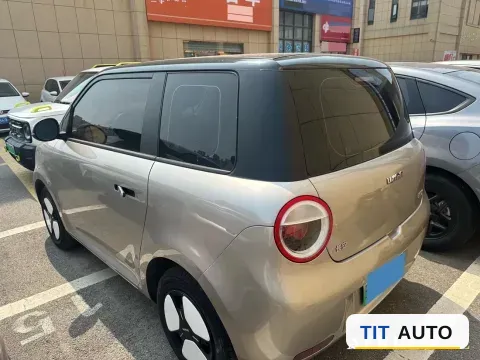 2022 Levdeo Mango 4