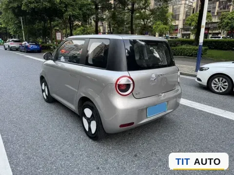 2022 Levdeo Mango 4