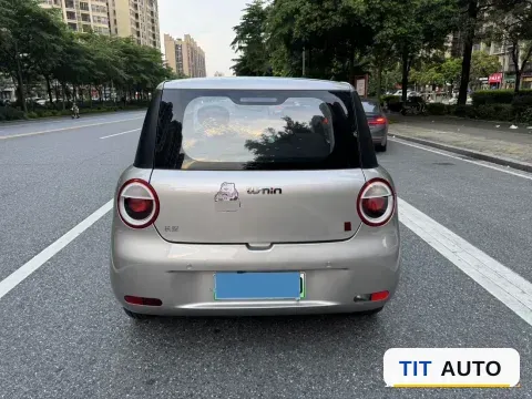 2022 Levdeo Mango 5