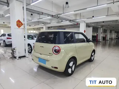 2022 Levdeo Mango 4