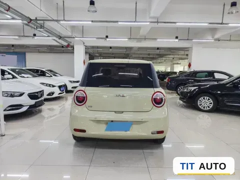 2022 Levdeo Mango 5