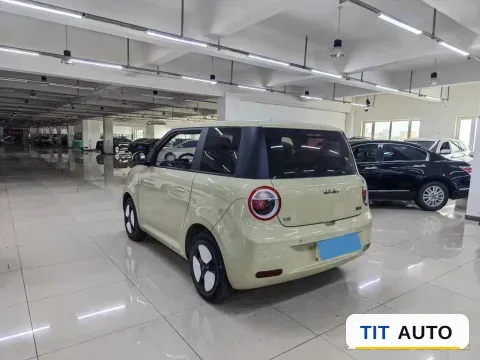 2022 Levdeo Mango 6
