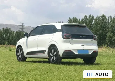 2024 DongFeng eπ 01 7