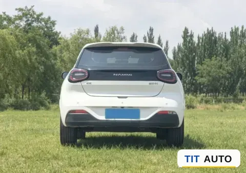 2024 DongFeng eπ 01 8