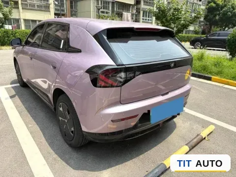2025 ARCFOX T1 9