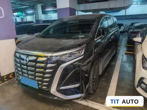 2024 Denza D9