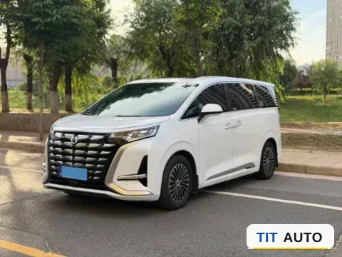 2024 Denza D9
