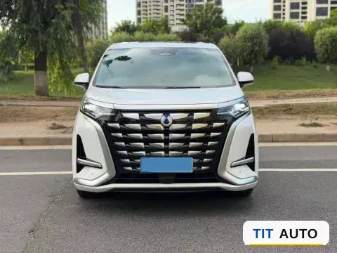 2024 Denza D9 2