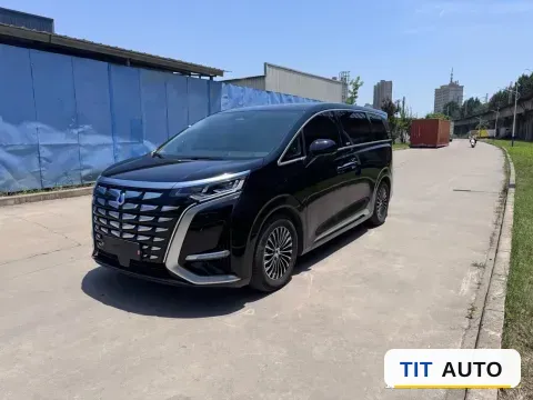 2024 Denza D9