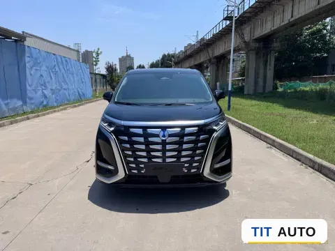 2024 Denza D9 2