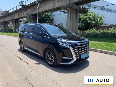 2024 Denza D9 3