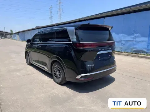 2024 Denza D9 8