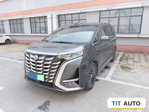 2025 Denza D9