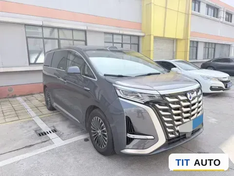 2025 Denza D9 2