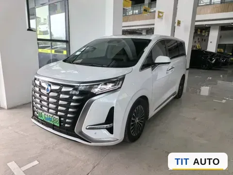 2024 Denza D9