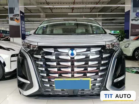 2024 Denza D9 2