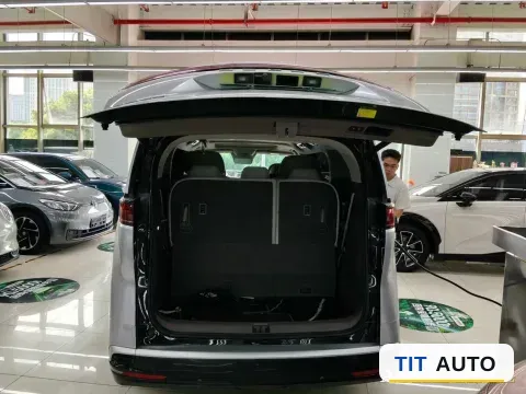2024 Denza D9 7