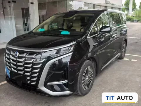 2025 Denza D9
