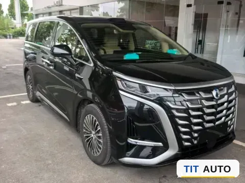 2025 Denza D9 2