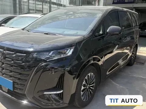 2024 Denza D9