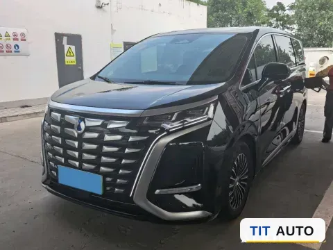 2024 Denza D9