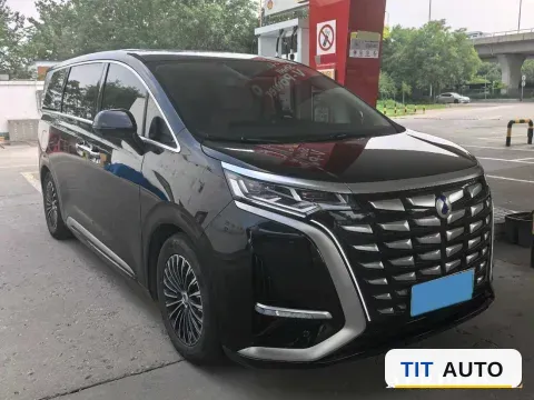 2024 Denza D9 3