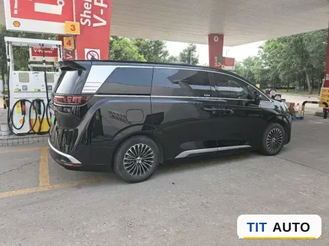 2024 Denza D9 7