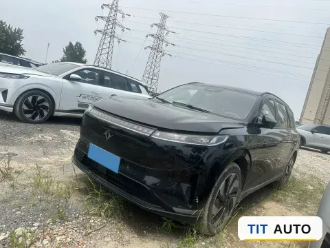 2024 DongFeng eπ eπ008