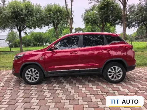 2019 BeiJing Auto X3 3