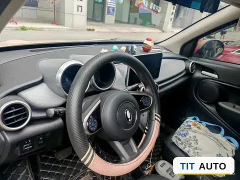 2021 Ora BlackCat 4