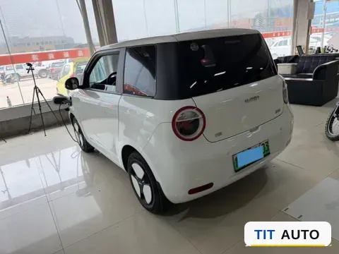 2022 Levdeo Mango 4