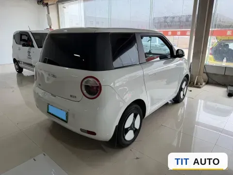 2022 Levdeo Mango 5