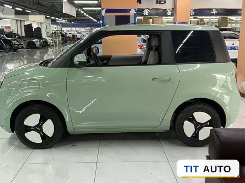 2022 Levdeo Mango 4