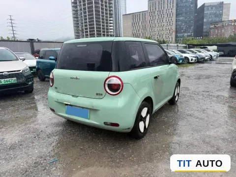2022 Levdeo Mango 5