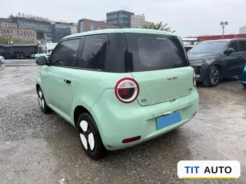 2022 Levdeo Mango 6