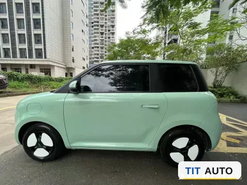 2022 Levdeo Mango 3